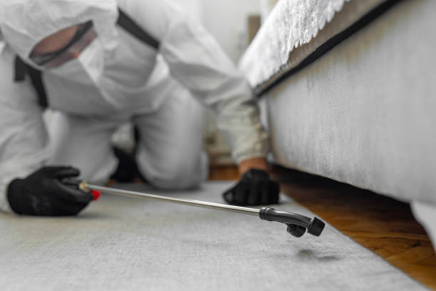 Professional Termite Control technician working in Half Moon, NC