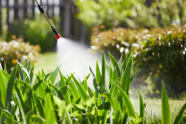 24/7 Emergency Termite Control experts in Half Moon, NC