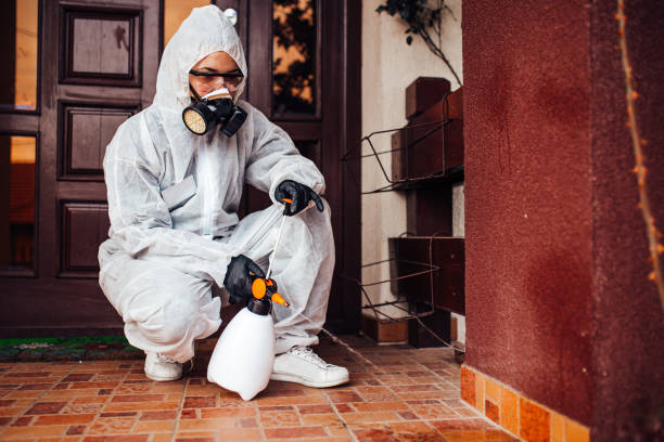 Reliable Termite Control contractor in Half Moon, NC by Nex Pest Control